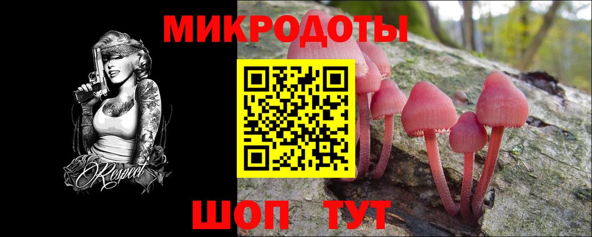 Михайловка  Галлюциногенные грибы ЛСД  Галлюциногенные грибы MAGIC MUSHROOMS  Вход с VPN 