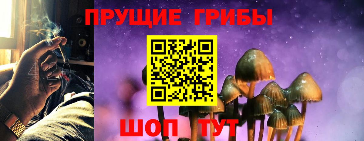 Галлюциногенные грибы ЛСД Михайловка